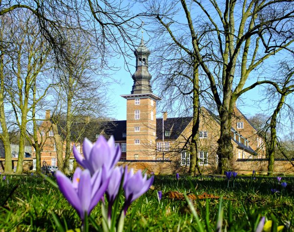 Замок Весна