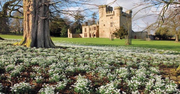 Весенний замок Карлайл