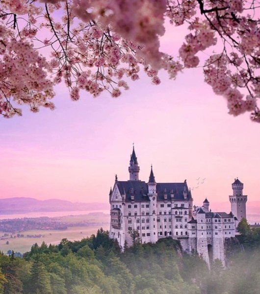 Замки мира замок Нойшванштайн