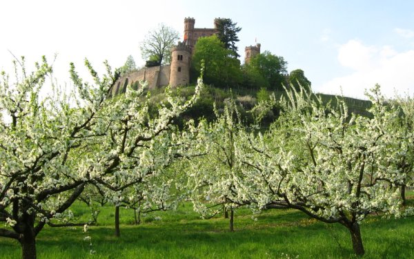 Весенний замок Карлайл