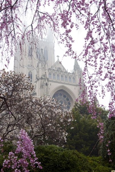 Аббатство Кайлмор Ирландия