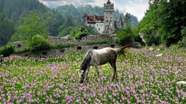 Поместье Ментенон