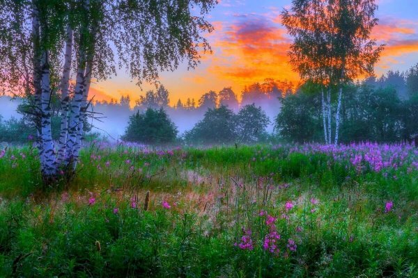Рассвет весной