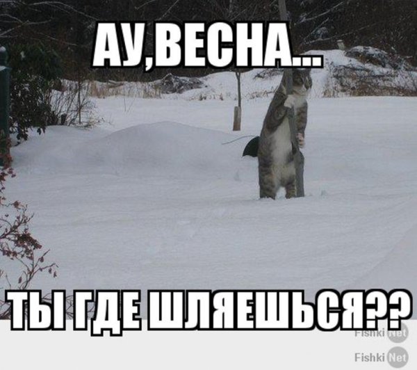 Приколы про зиму и весну