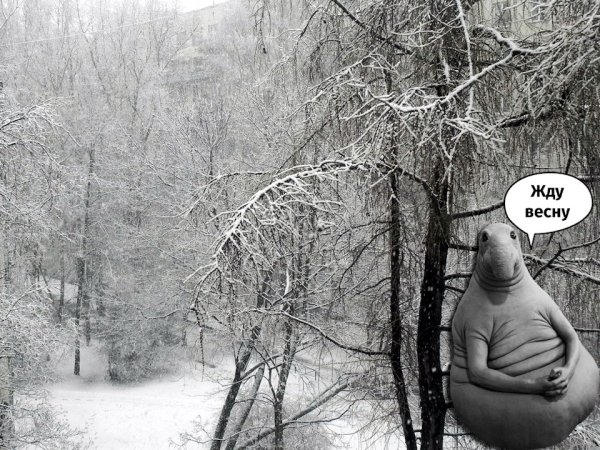 Я жду весну