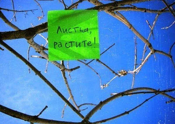 Приколы про март