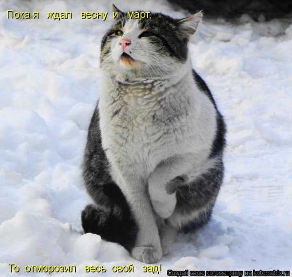 Вот и Весна пришла