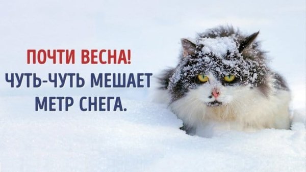 Весна Проснись зима наглеет