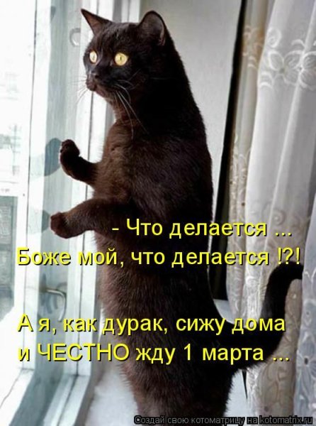 Весна уже пришла