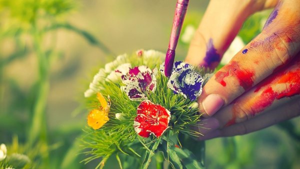 Художник-иллюстратор Наталья Бронникова