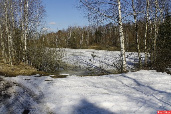 Весенние пейзажи Подмосковья