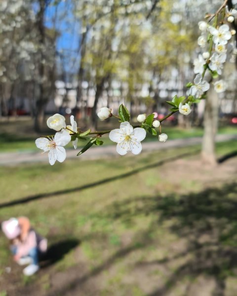 Весна Эстетика