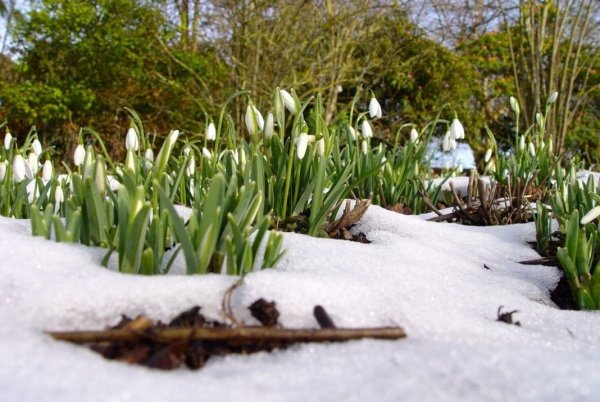 Поздняя Весна