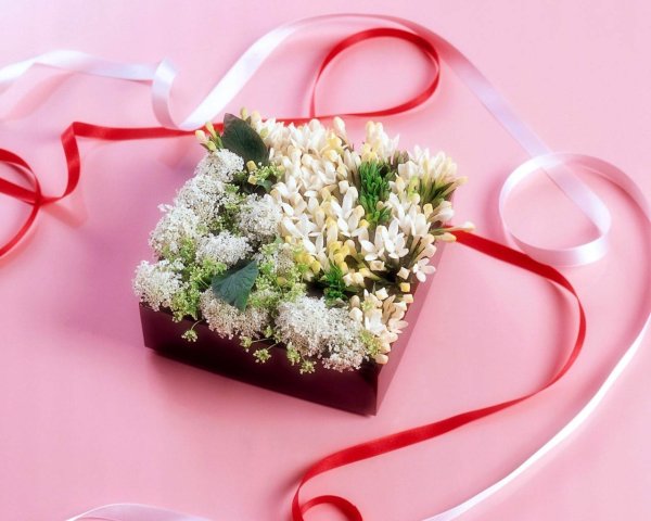 Букет тюльпанов