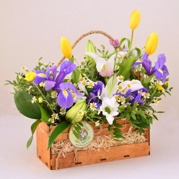 Весенний подарок