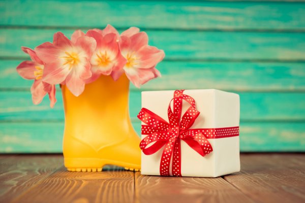 Цветы и подарки на белом фоне