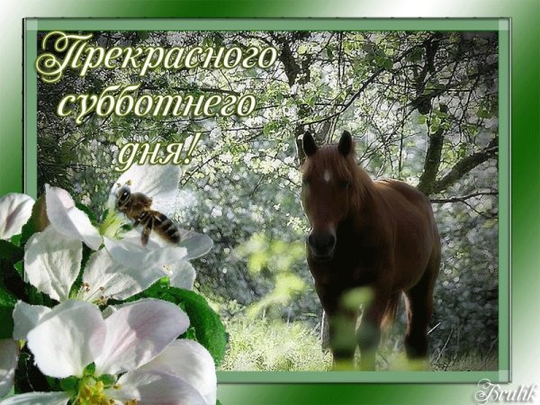 Открытки с субботой
