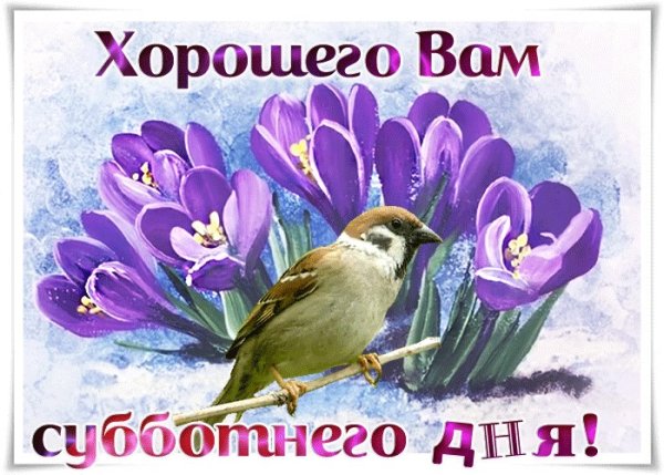 С субботой христианские открытки