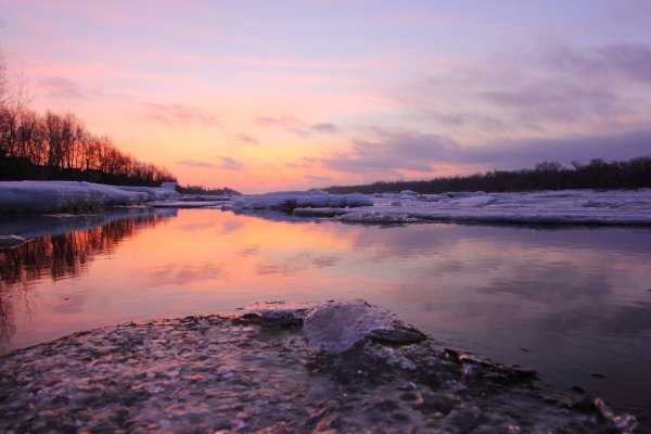 Вешняя Заря