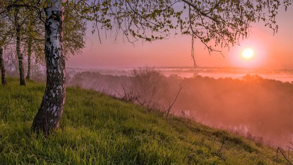 Утренний пейзаж