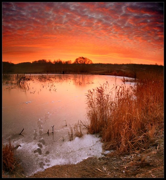 Заря весной