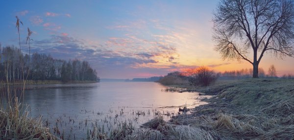 Весенний рассвет