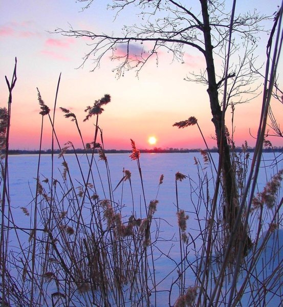 Рассвет весной