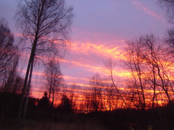 Март рассвет