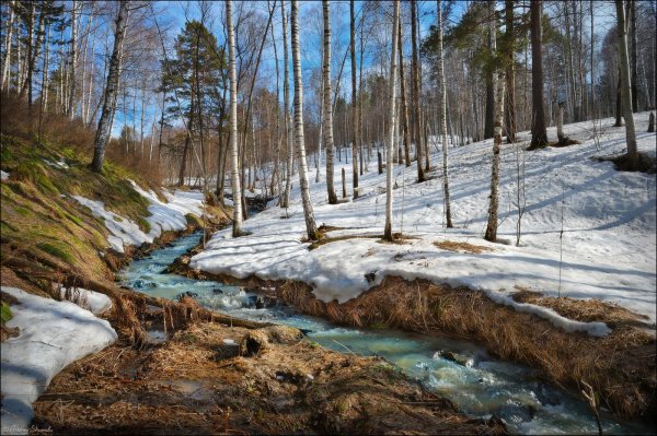 Висенский ручей