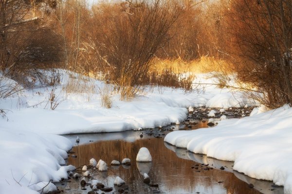 Весна ручьи