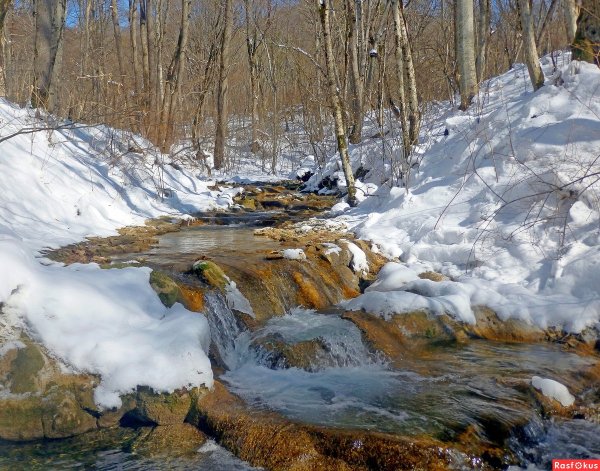 Ручьи весной