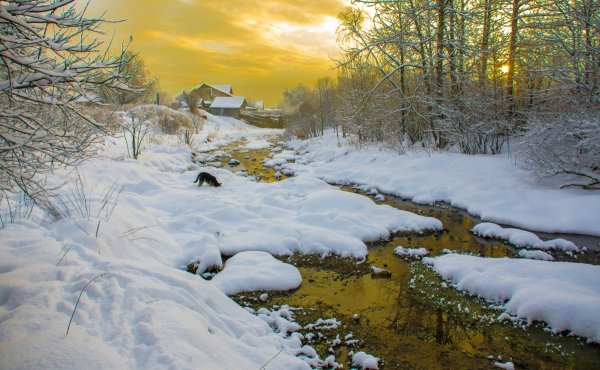 Зимний ручей