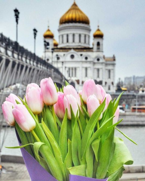 Весна в Москве