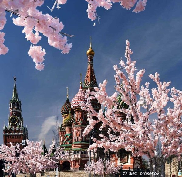 Красивая Весна в городе Россия