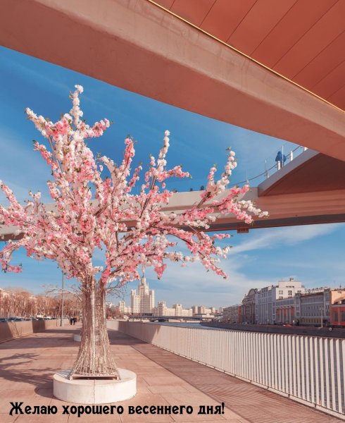 Весна в городе