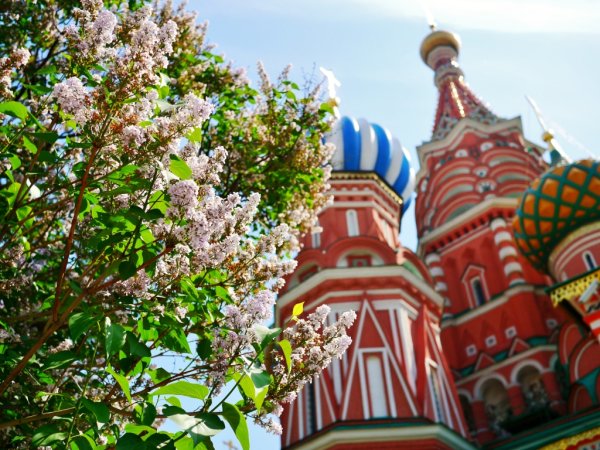 Храм Василия Блаженного весной