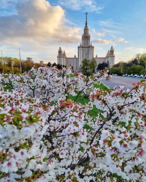 Красивая Весна в Москве
