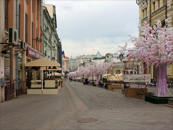 Московская Весна Кузнецкий мост 2016
