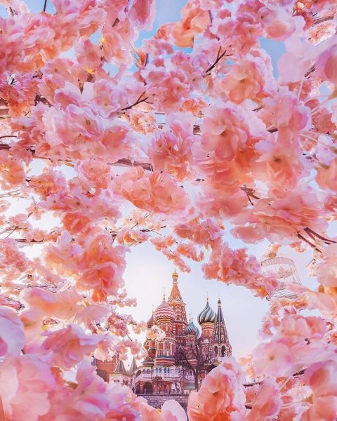 Весна в Москве