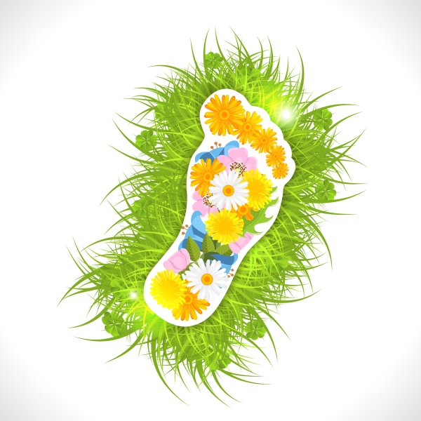 Следы весны