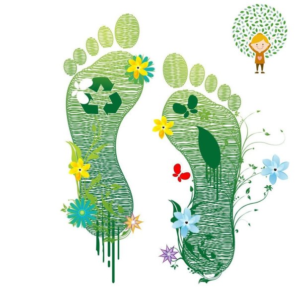 Экологический след