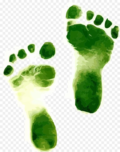 Экологический след