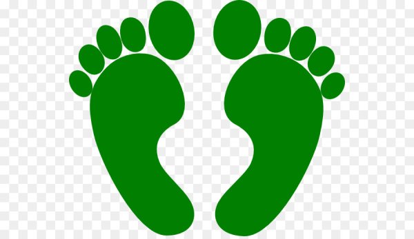 Зеленый след