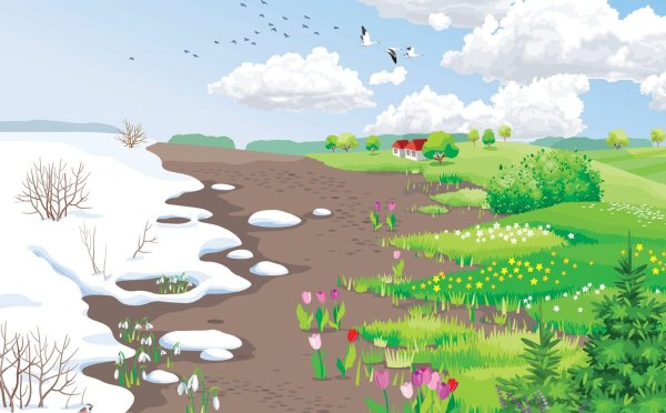 Зимние следы