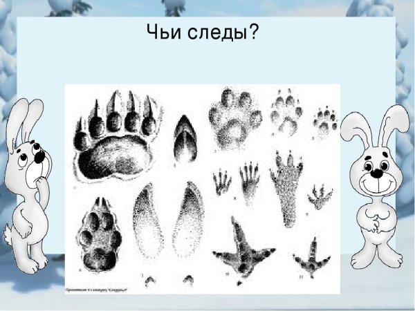 Приметы весны для дошкольников