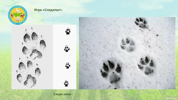 Признаки весны для дошкольников