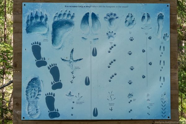 Объемные следы ног