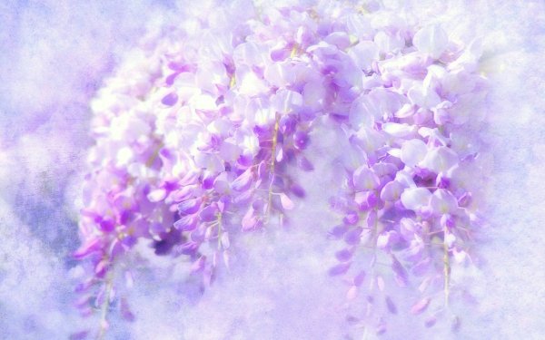 Нежно фиолетовый