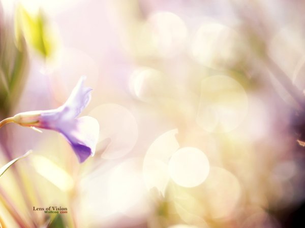 Весенний фон