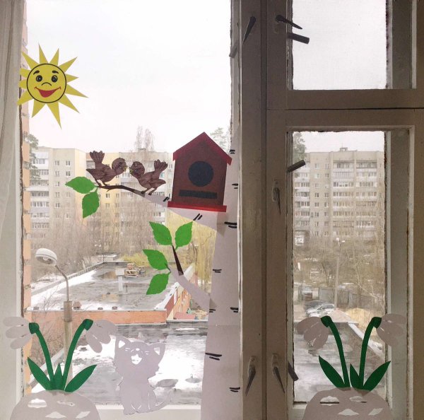 Цветы для украшения окон в детском саду